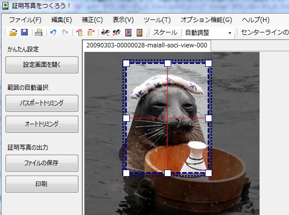 フリーソフト「証明写真をつくろう！」の編集画面のイメージ